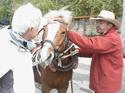 Jose voert het paard