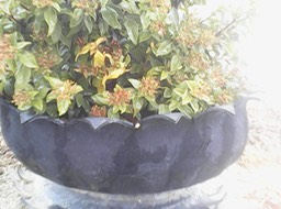 Mooie plantenbak